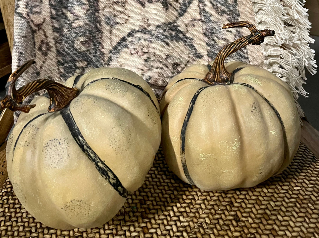 Medium Field Pumpkin