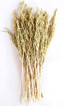 Load image into Gallery viewer, Pressed Natural Dried Avana Bunch
