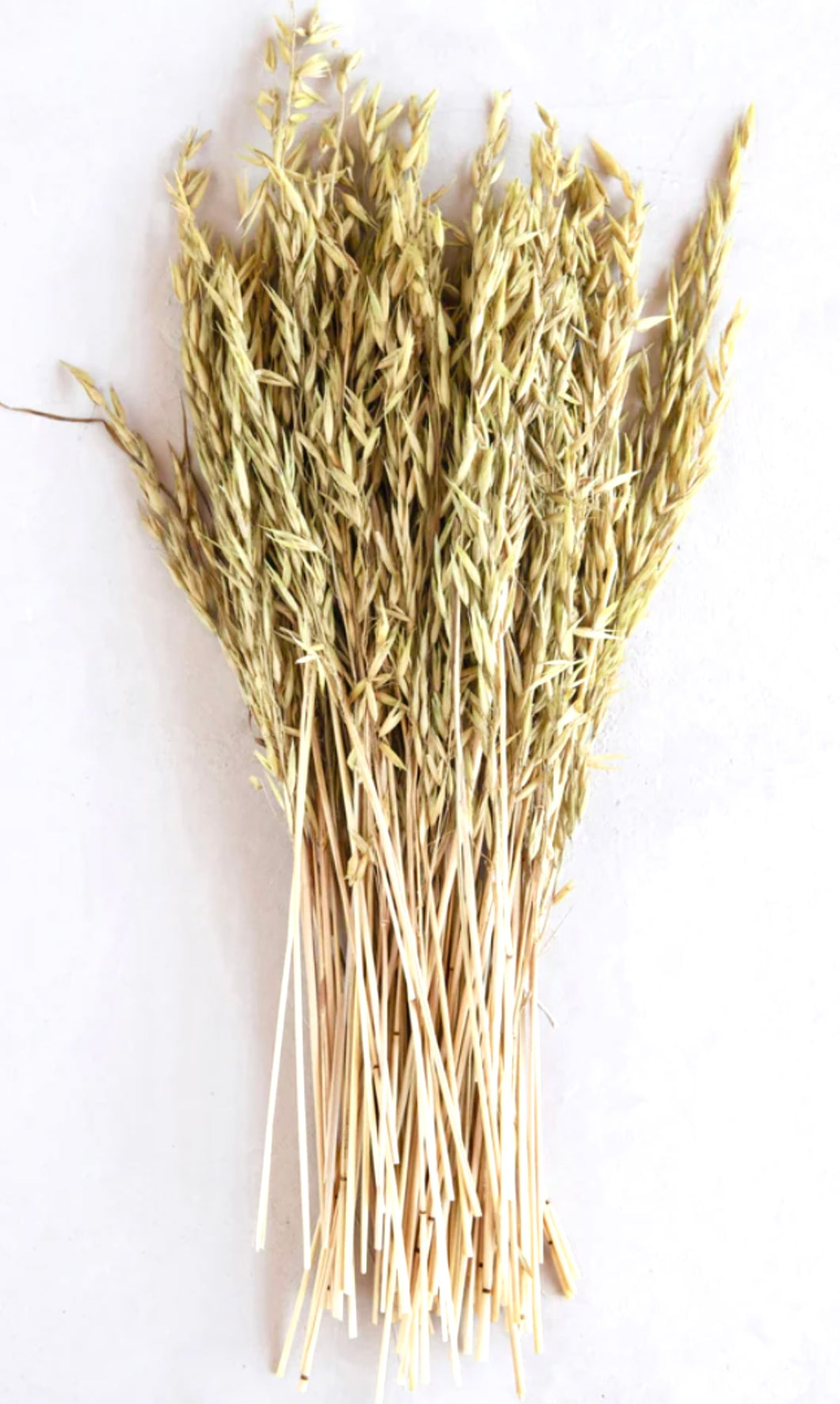 Pressed Natural Dried Avana Bunch