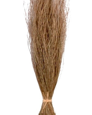 Dried Natural Star Grass Bunch