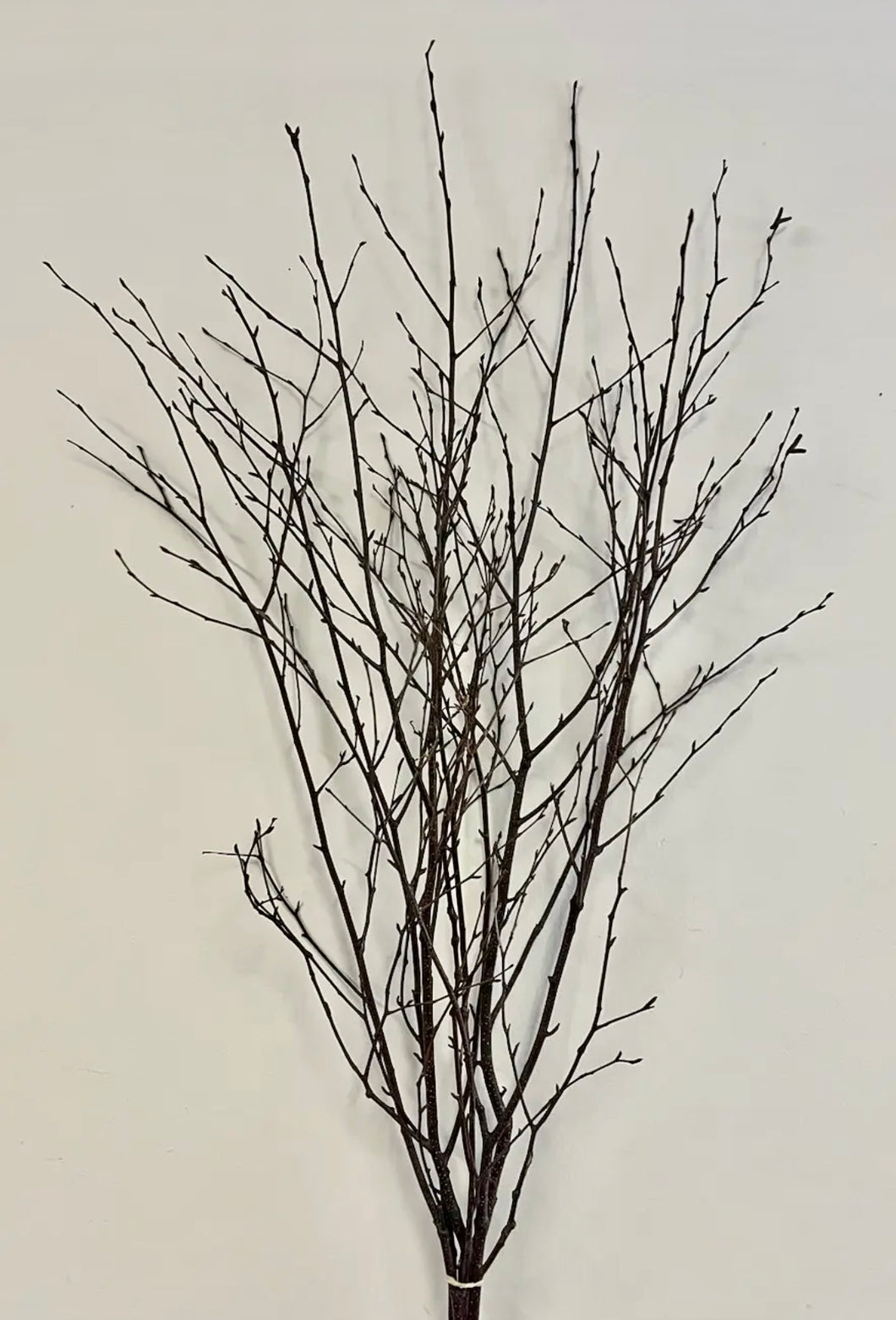 Natural Birch Branch Bunch