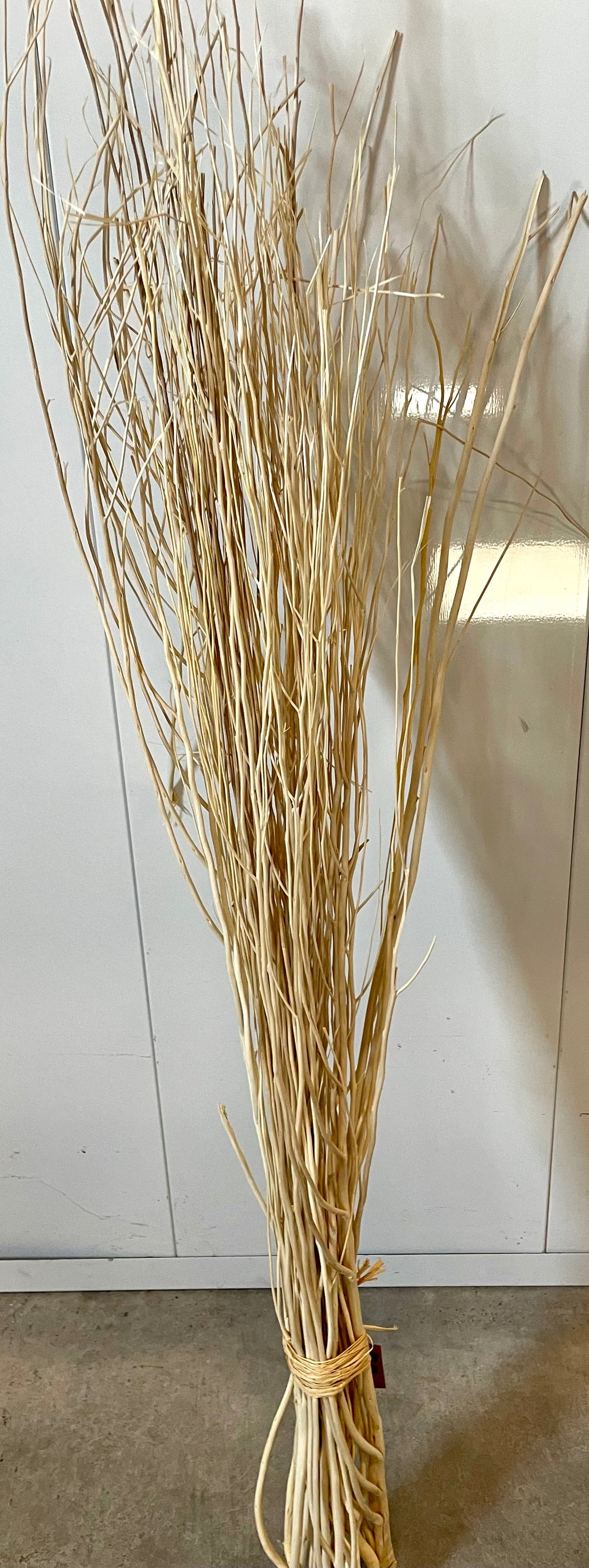 Tall Bleached Branch Bundle