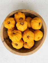Load image into Gallery viewer, Bag of Dried Pumpkins
