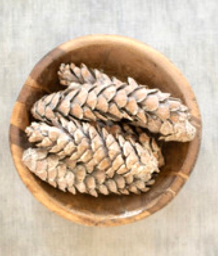 Frosted white natural strobus pine cones