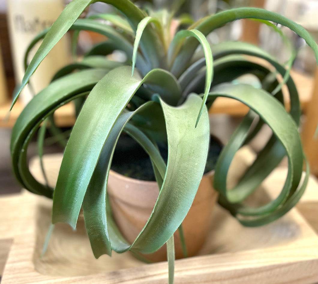 Faux Large Air Plant in Pot